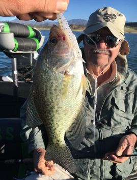 Lake Pleasant - Fish Reports & Map