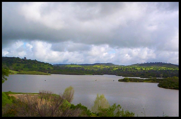 Lake Amador Fishing Report