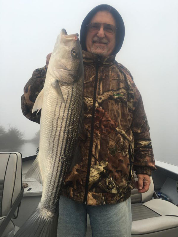 Limits of Stripers