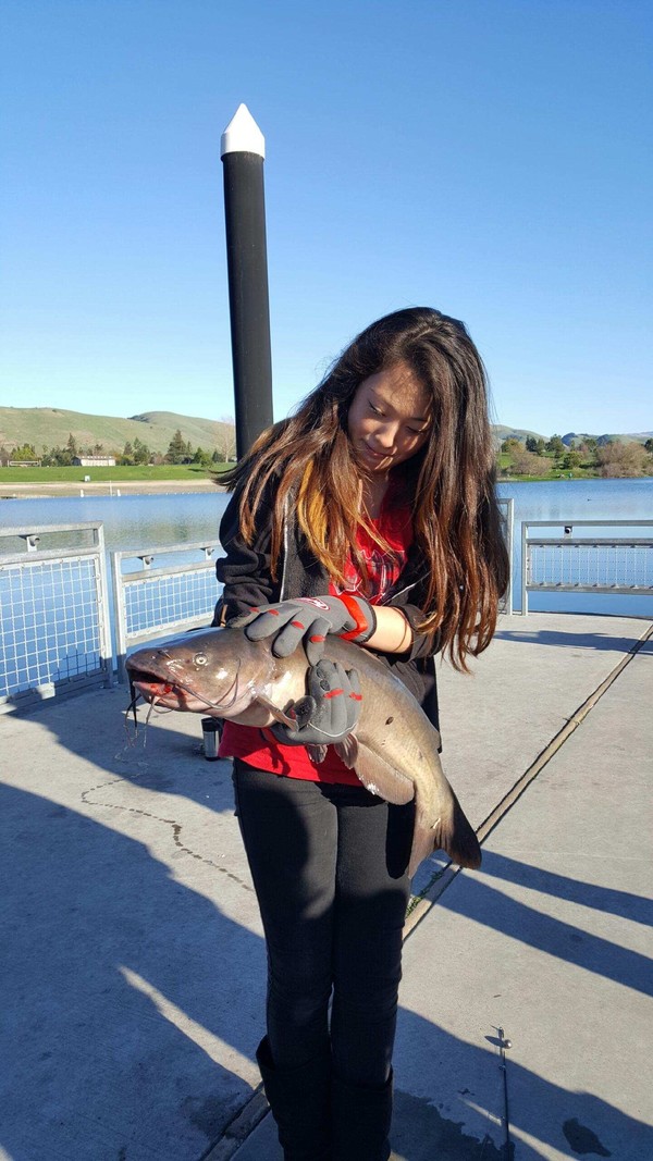 Antioch Oakley Shoreline Pier Fish Report - Antioch Oakley Shoreline Pier -  Antioch Fishing Report - January 13, 2017