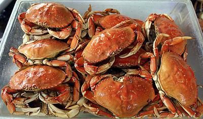 Santa Cruz Crab Update