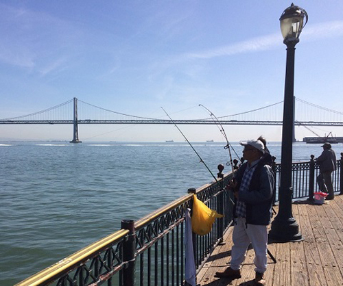 San Francisco Pier 7 Fishing