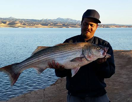 Lake deals mead fishing