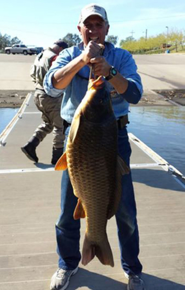 Lake Amador Fish Report Ione Ca Amador County