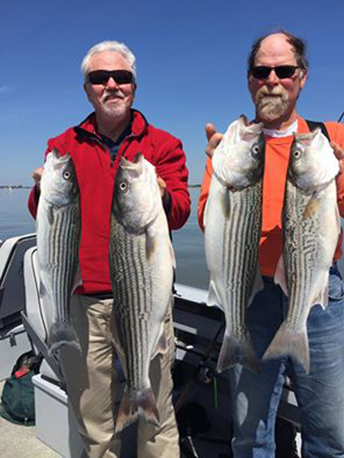 Delta Stripers