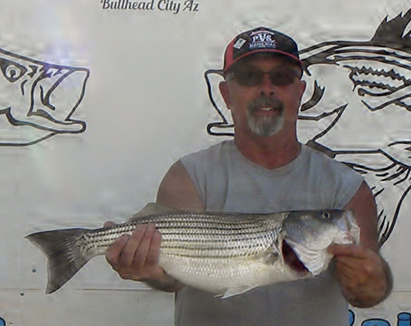 Striped Bass - NDOW