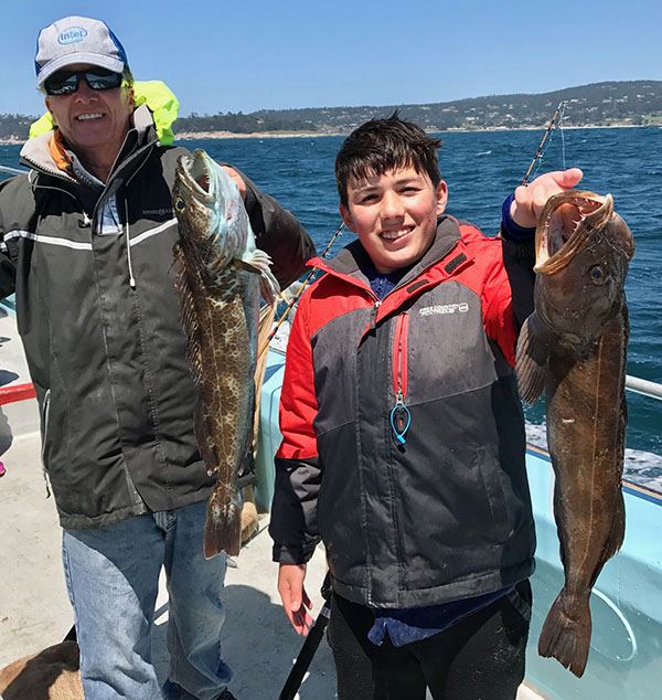Lingcod Today