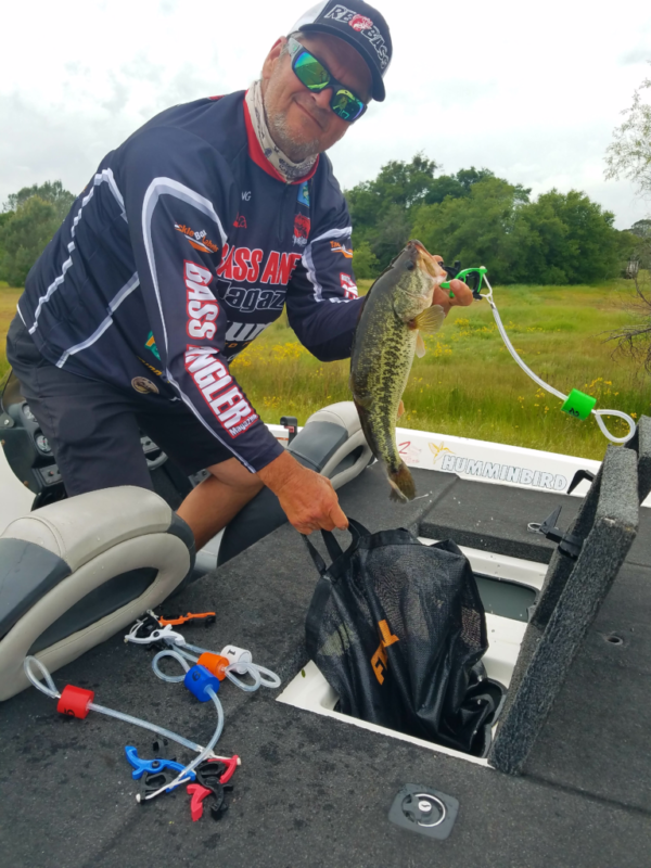 Folsom Lake Fishing Report