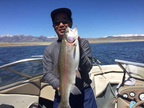 Crowley Lake Fish Report - Mammoth Lakes, CA (Mono County)