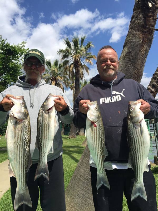 Delta Striper Update