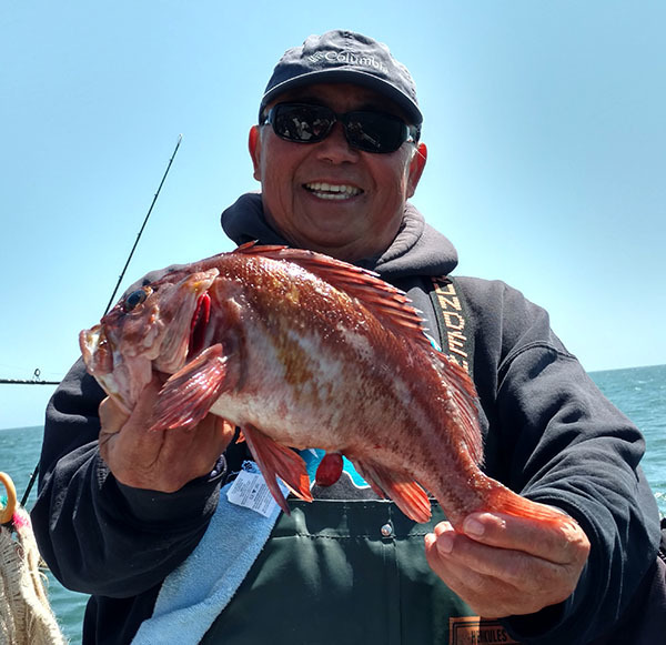 Marin Coast Rockfish Report