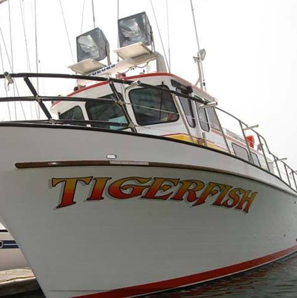 Tigerfish Update