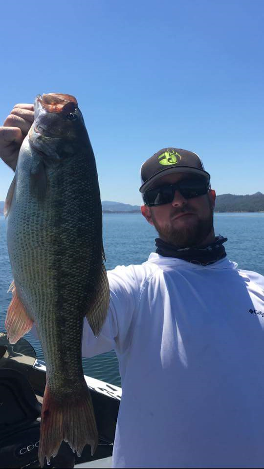 Lake Berryessa Fishing Report