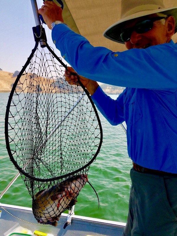 Del Valle Lake Fishing Report