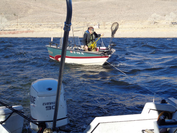 Topaz Lake Fish Report - Gardnerville, NV