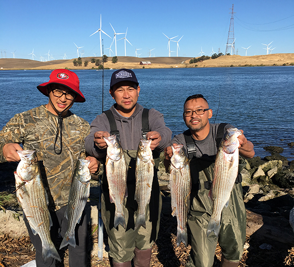 Rio Vista Striper Report