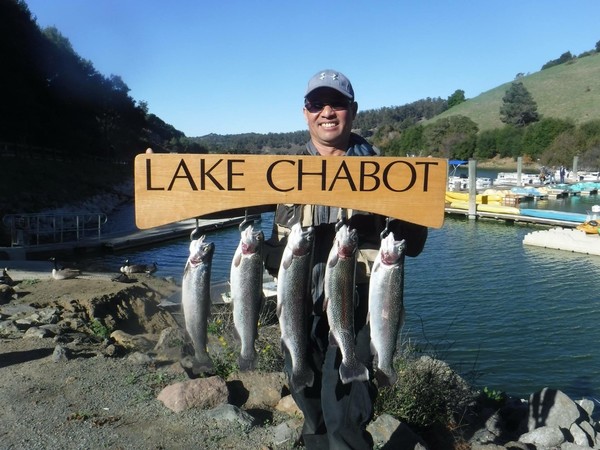 Lake Chabot - Fish Reports & Map