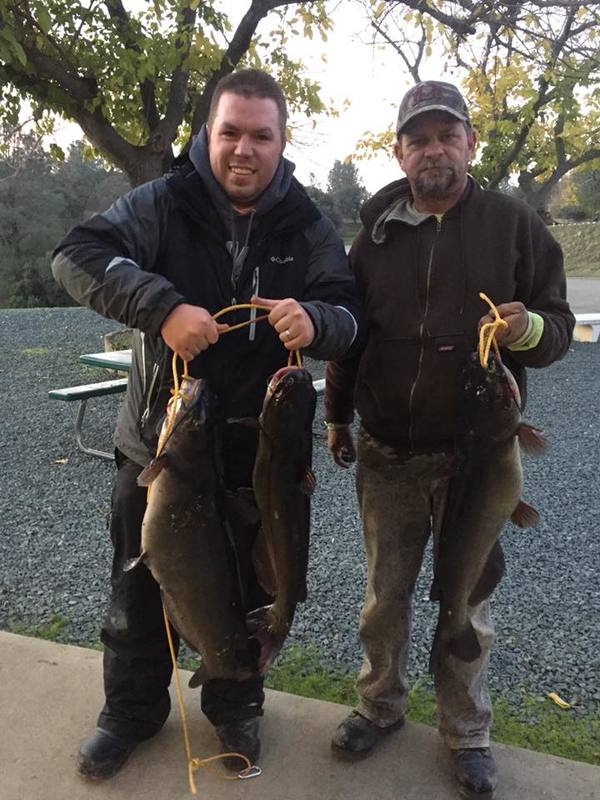 Lake Amador Fishing Report