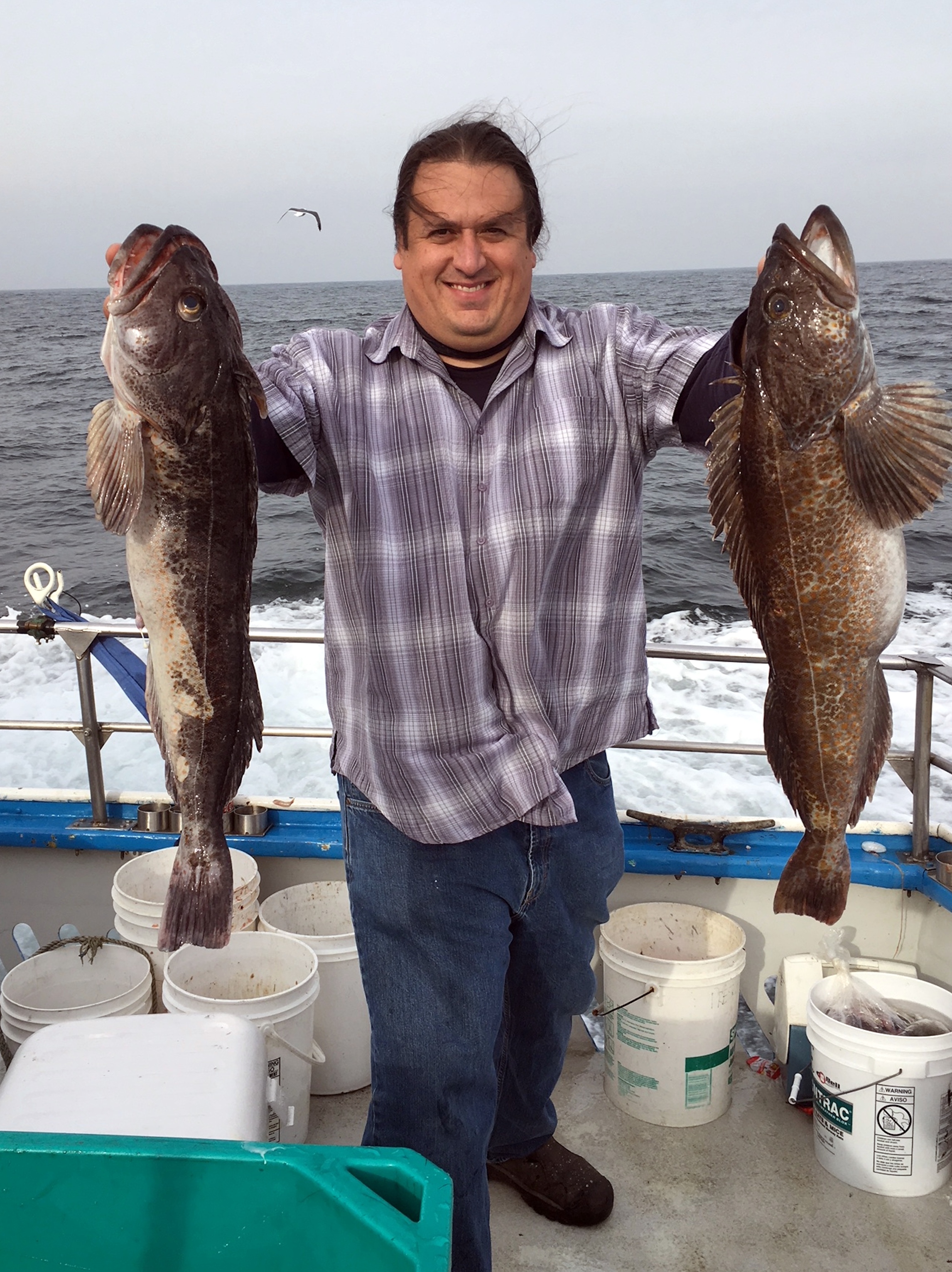 Norcal store fishing report