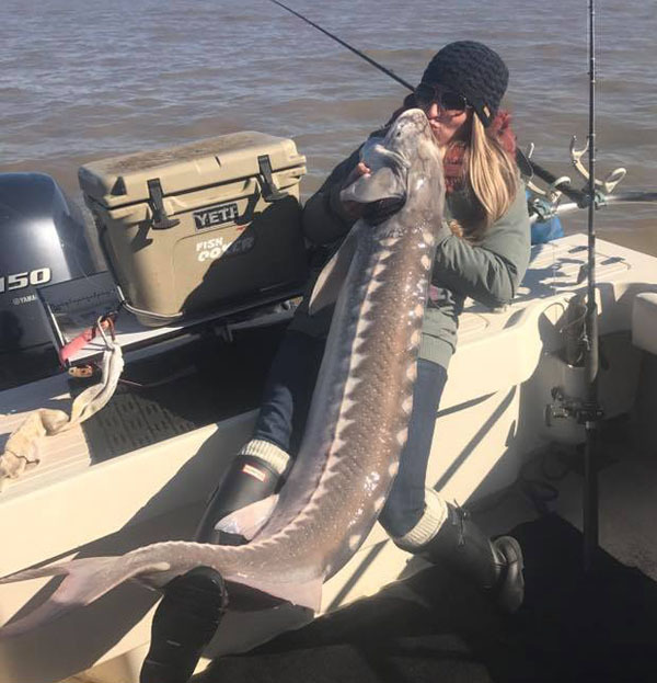 Right Hook Sturgeon Report