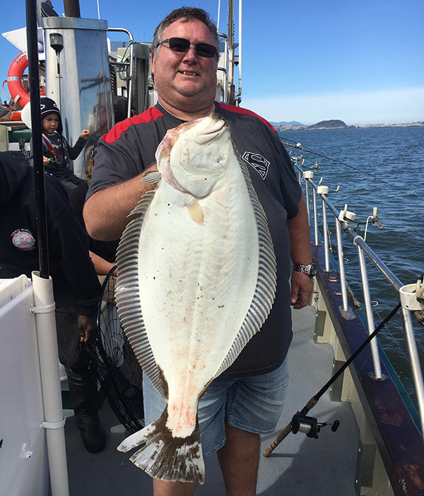 SF Bay Halibut Update