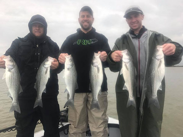 Delta Stripers Biting