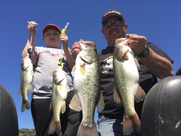 Lake Sonoma Fishing Report