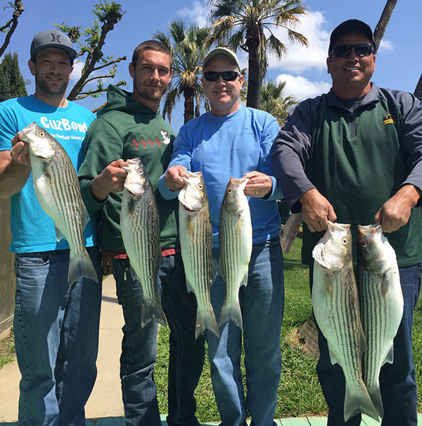 Sacramento Delta Fish Report - Sacramento Delta - Delta Striper Report -  April 9, 2017