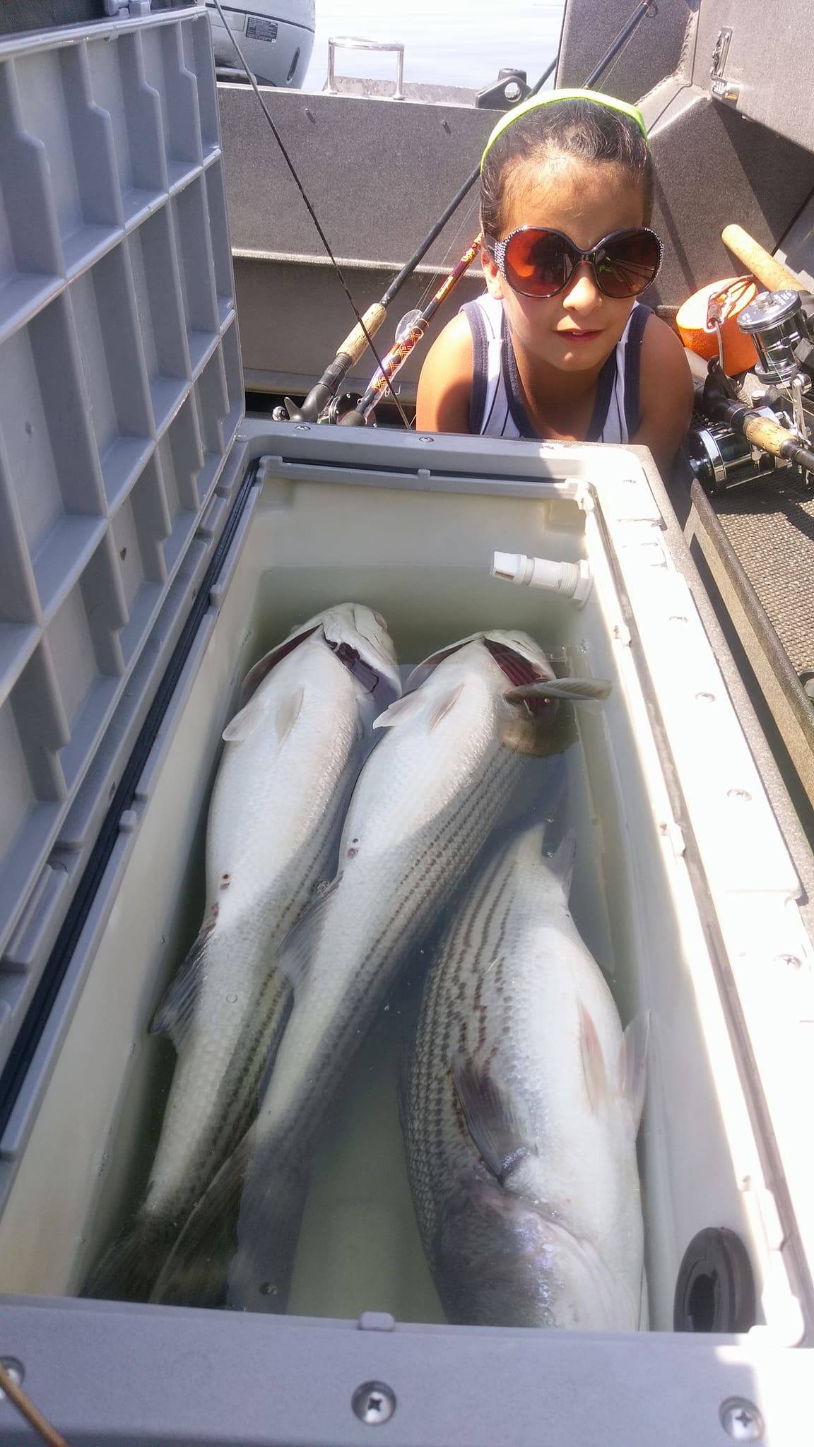 Millerton Striper Report