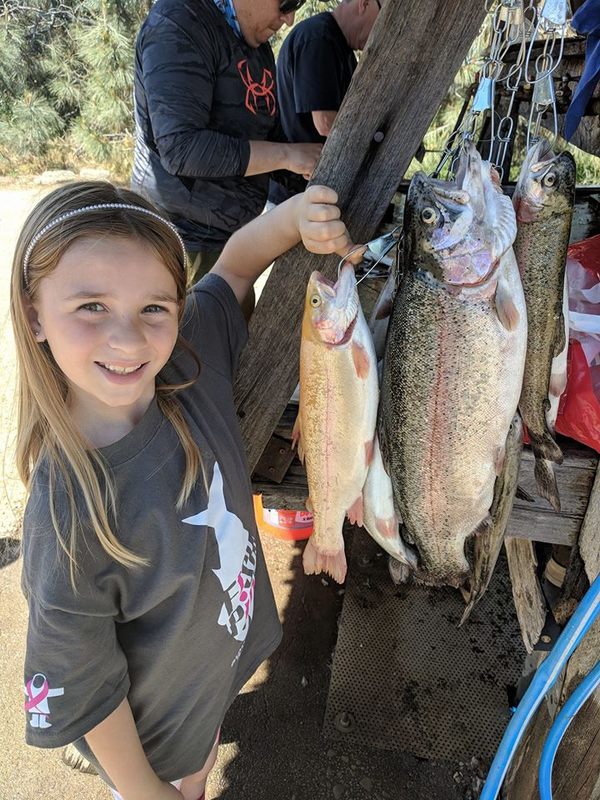 Lake Amador Fish Report Ione, CA (Amador County)