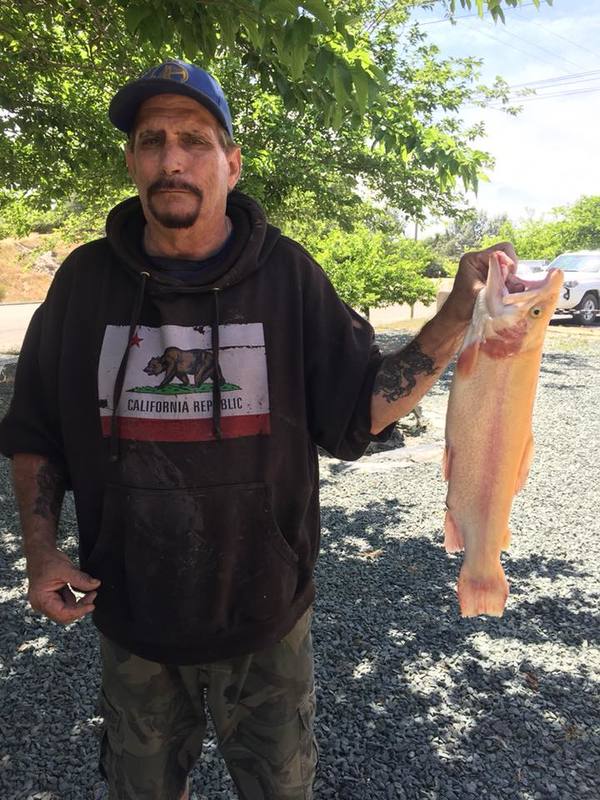 Lake Amador Fish Report Ione Ca Amador County
