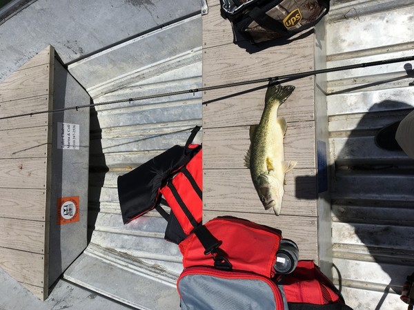 Lake Chabot Fishing Report