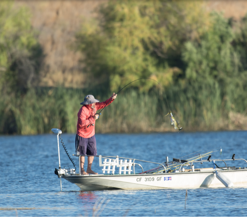 Contra Loma Reservoir Fishing Report