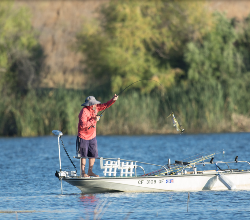 Fishing  East Bay Parks