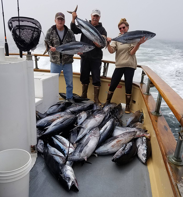 Fish Report - Fury Albacore