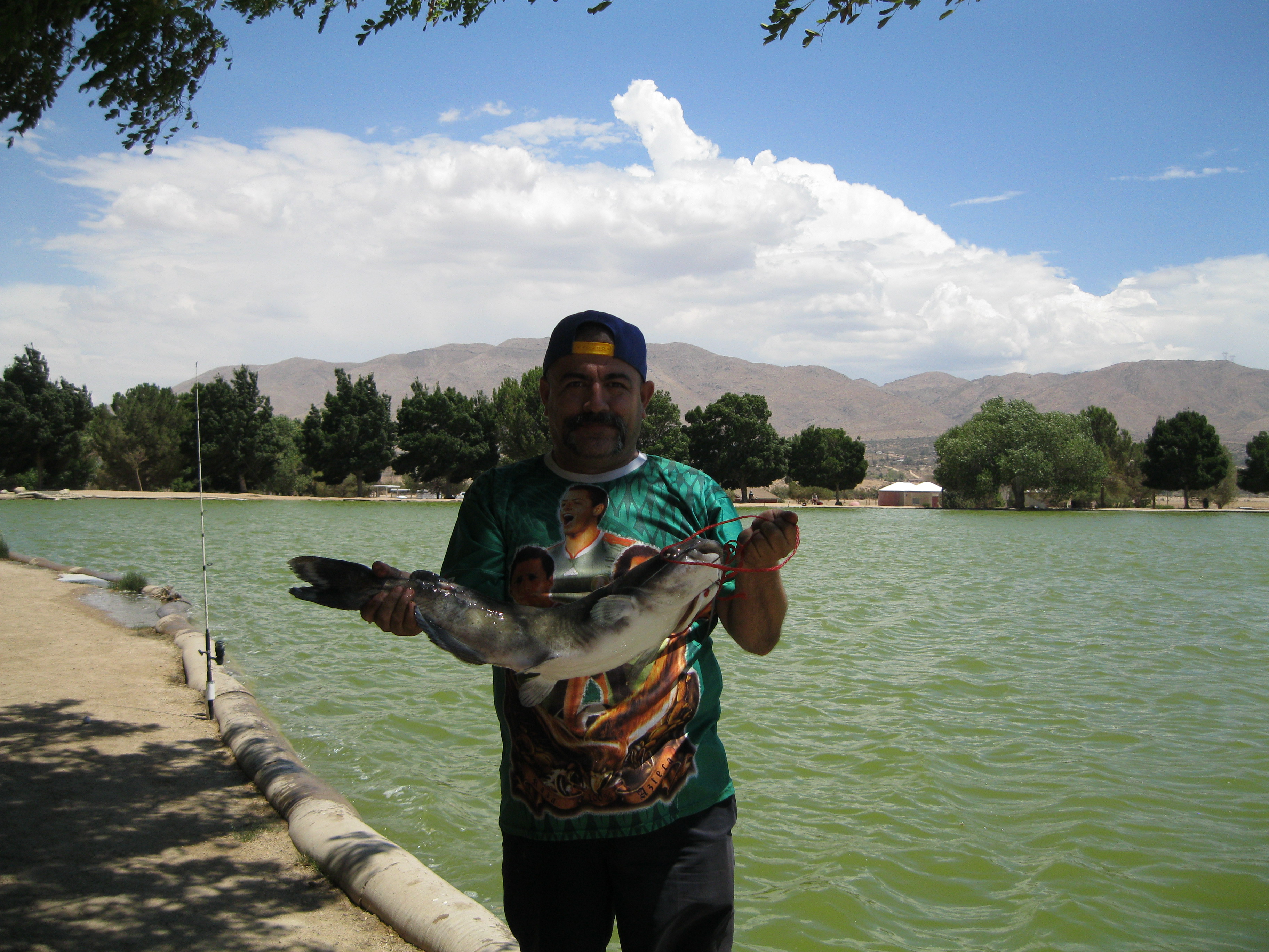 Hesperia Lake Fish Report - Hesperia, CA (San Bernardino County)