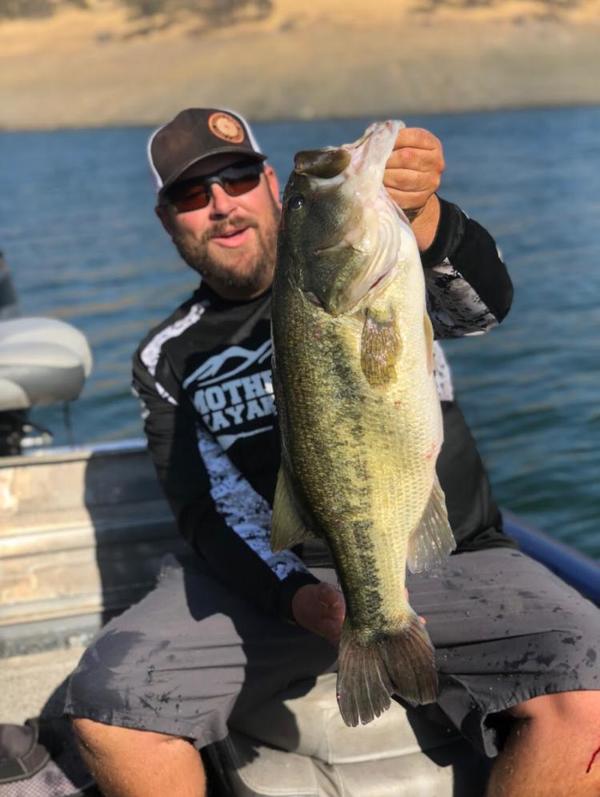 Lake Mcclure Fishing Report