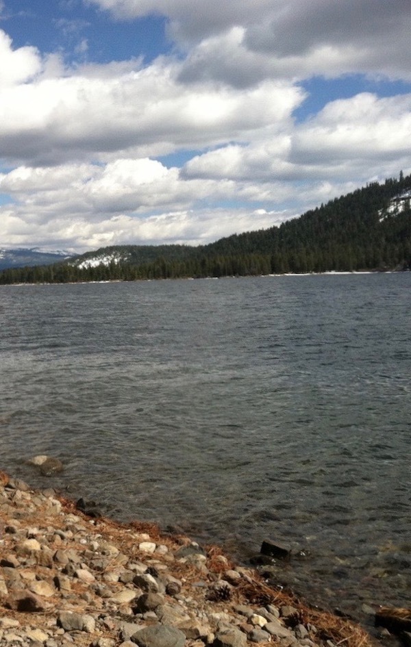Shore Fishing at Donner has Remained Very Good for Anglers 