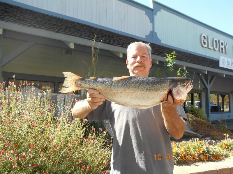 New Melones Fish Report