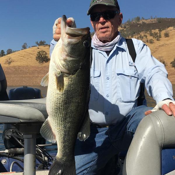 Lake Mcclure Fishing Report 2024 Season - Dotty Gillian