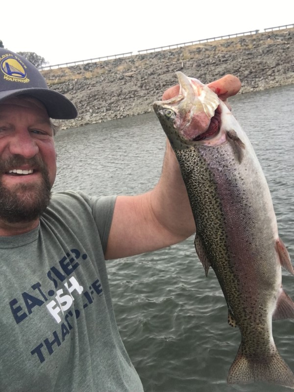 Lake Amador Fishing Report