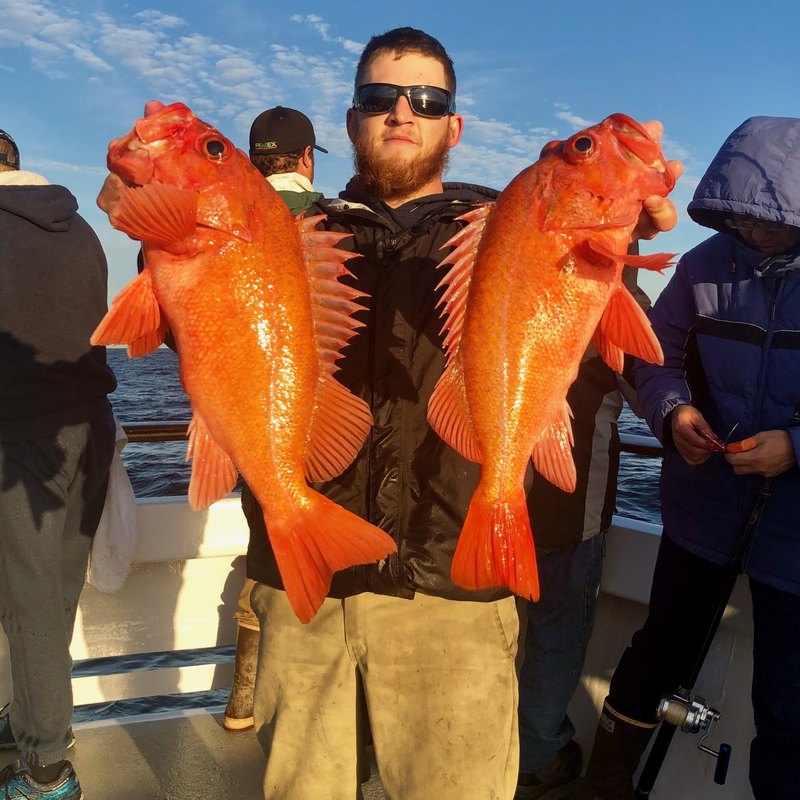 Fish Report Big Rockfish Biting Today!