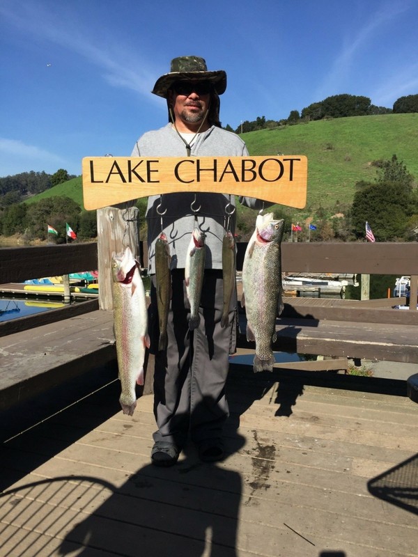 Lake Chabot Fishing Report