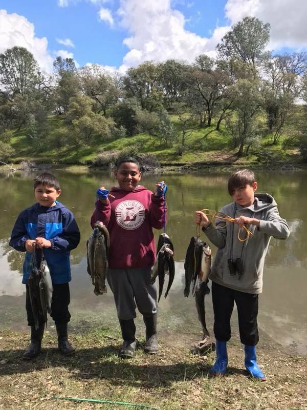 Lake Amador Fishing Report