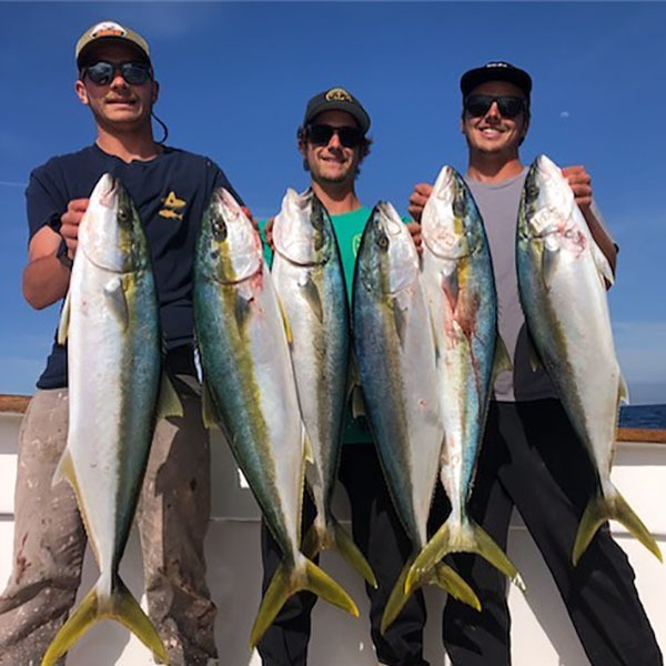 Yellowtail Fishing Coronado Islands