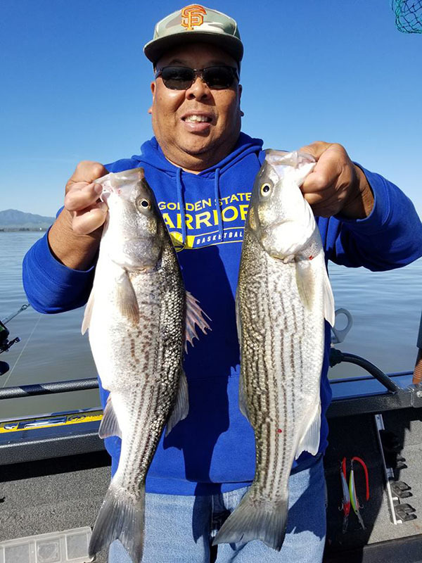 Stripers biting in the Delta