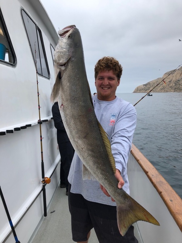 White Seabass, Halibut and Rockfishing – Channel Islands Sportfishing