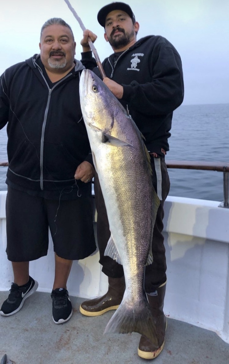 White Seabass, Halibut and more! – Channel Islands Sportfishing