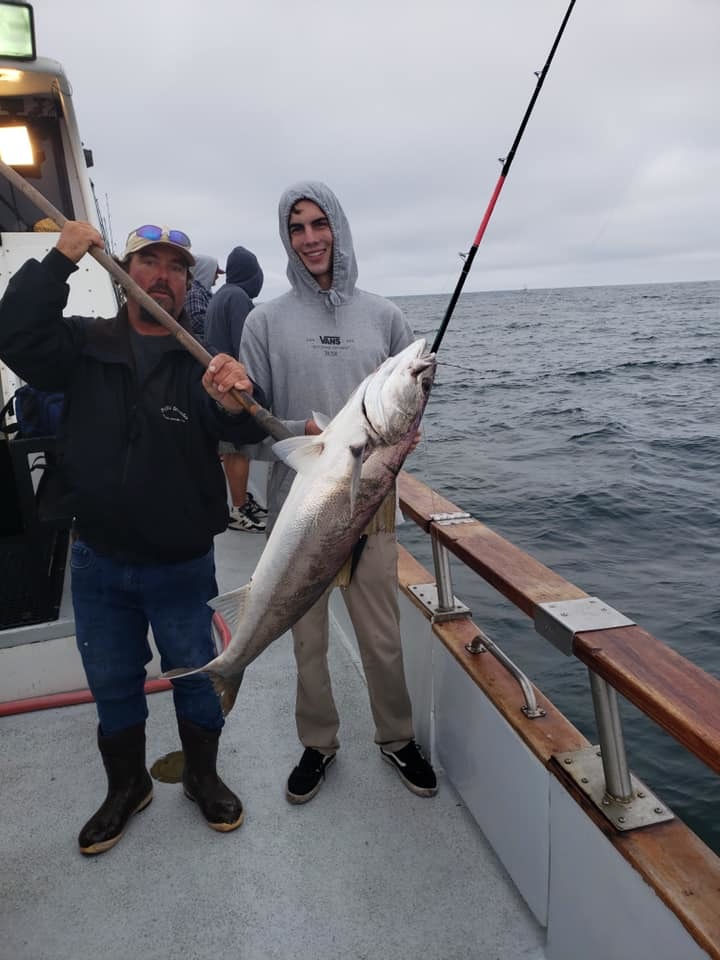 White Seabass fishing in the Channel Islands – Channel Islands Sportfishing