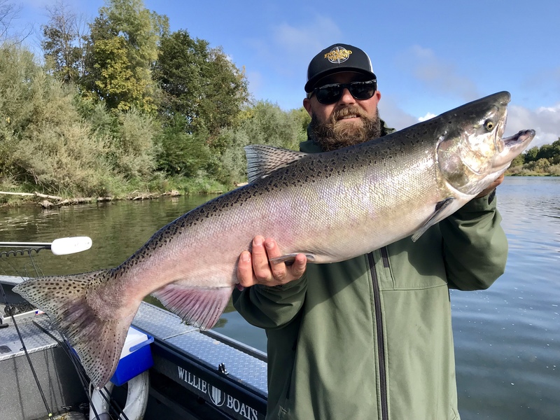 Closing out September salmon on the Sac River,,,